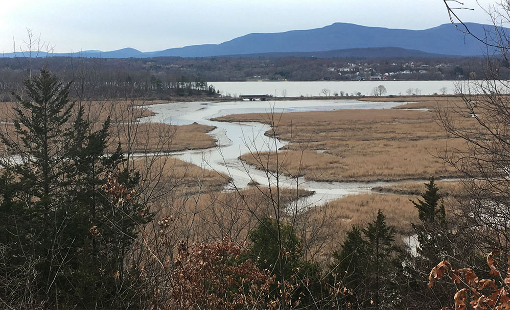 view of the marsh at Tivoli Bays looking west toward the Hudson River