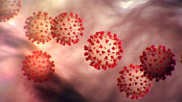 several round virus particles, shown with red stud-like protrusions on their surfaces, against a pink background suggestive of breathing passages in the human body
