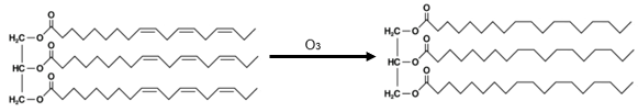 the reaction of ozone with an unsaturated triglyceride produces a saturated triglyceride