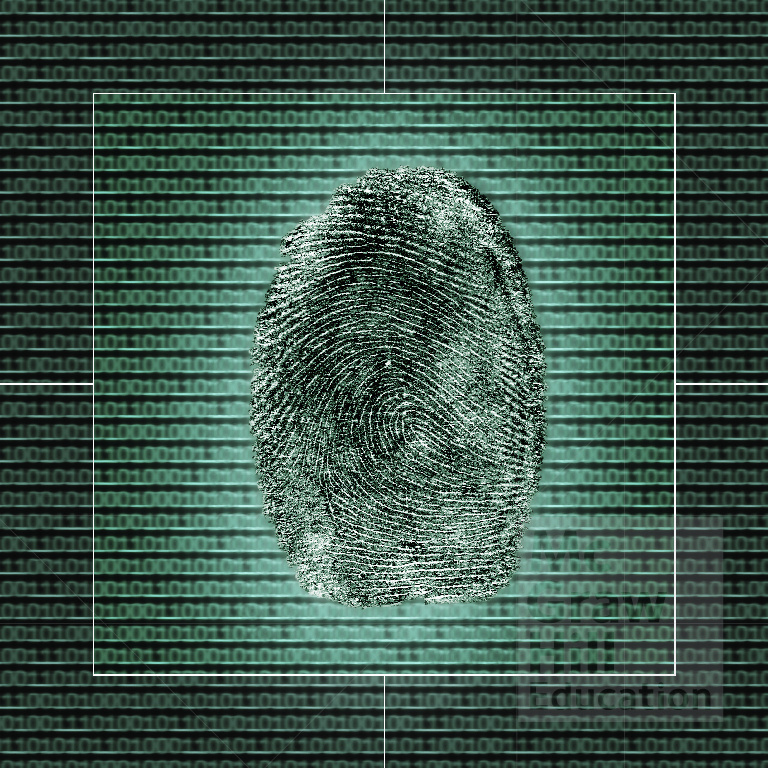 This is an illustration of a human finger print on top of some binary code