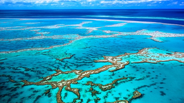 Aerial photo of the Great Barrier Reef; some blue water and slightly cloudy sky are seen in the background