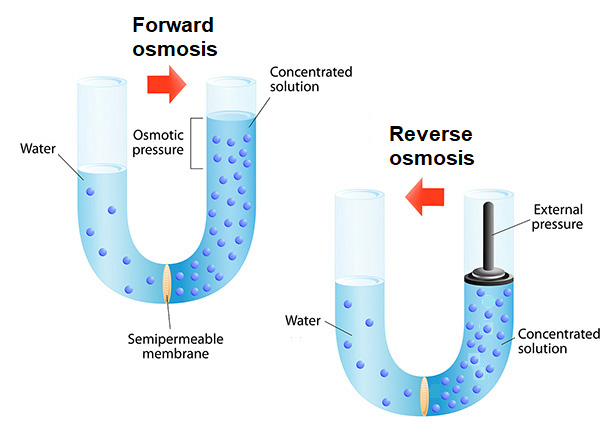 illustrations of forward and reverse osmosis