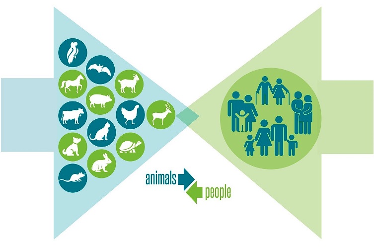 Illustration of two large arrows pointing toward each other, with the left arrow containing silhouettes of various animals and the right arrow containing silhouettes of humans; an inset of two small facing arrows (labeled "animals" and "people") is also shown.
