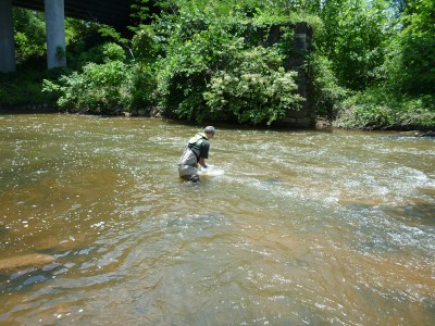 Photo of a scientist collecting a water sample from a stream