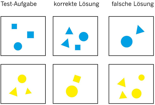 Illustration consisting of three columns and two rows. The left column shows three blue shapes at top and three yellow shapes at bottom. The middle column shows four blue shows at top and two yellow shapes at bottom. The right column shows two blue shapes at top and four yellow shapes at bottom