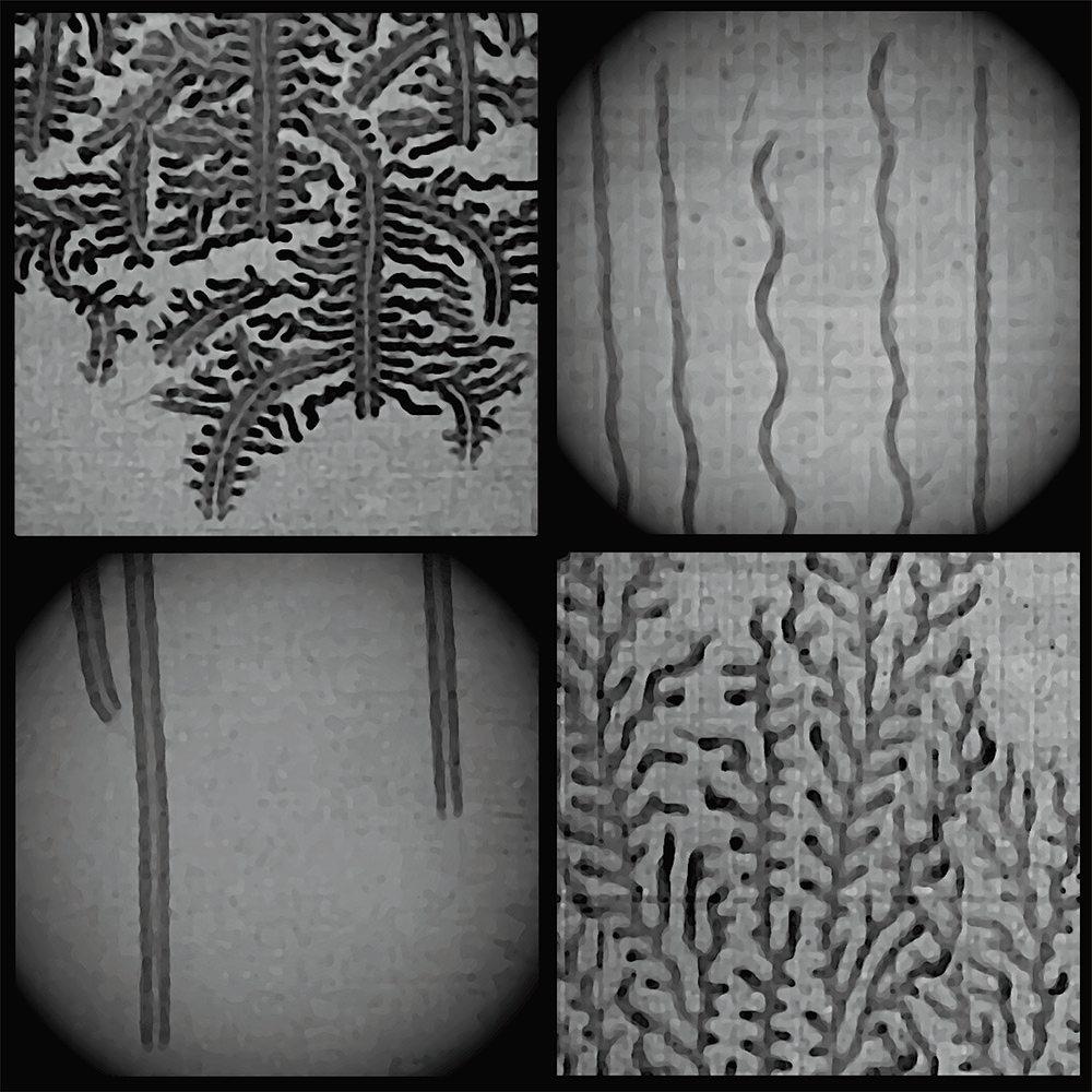 Four images in grescale color that show the water condensation trails left by hydrogen-burning flames propagating through a mixture of hydrogen gas and air in a narrow combustion chamber. The trails appear dark, whereas the light-colored portions of the imaged areas indicate unburnt hydrogen. In two examples—at top right and lower left—the propagating flames form fractal-like patterns