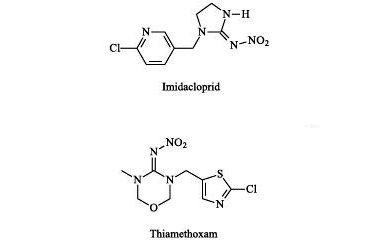 Chemical structures of imidacloprid and thiamethoxam