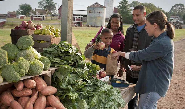A young, multiracial family of three interacting with a woman at a produce stand in a rural setting. The boy is putting an onion into a paper bag being held open by the woman. The produce stand also has broccoli, sweet potatoes, lettuce, apples, and pears. The boy's mom and dad are standing behind him and smiling. 