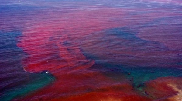 Overview photo of the surface of the ocean, with the waters being predominantly red in color