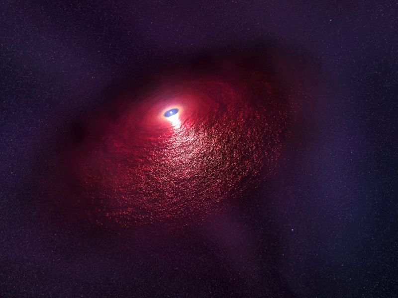 Neutron star with dusty disk