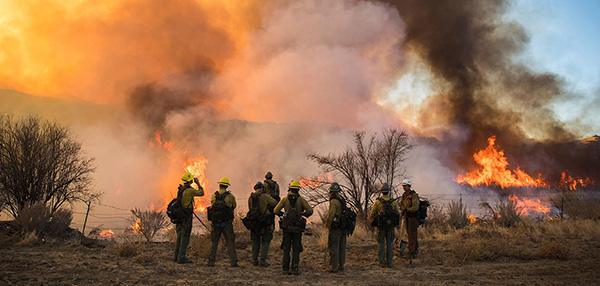 firefighters facing a wildfire