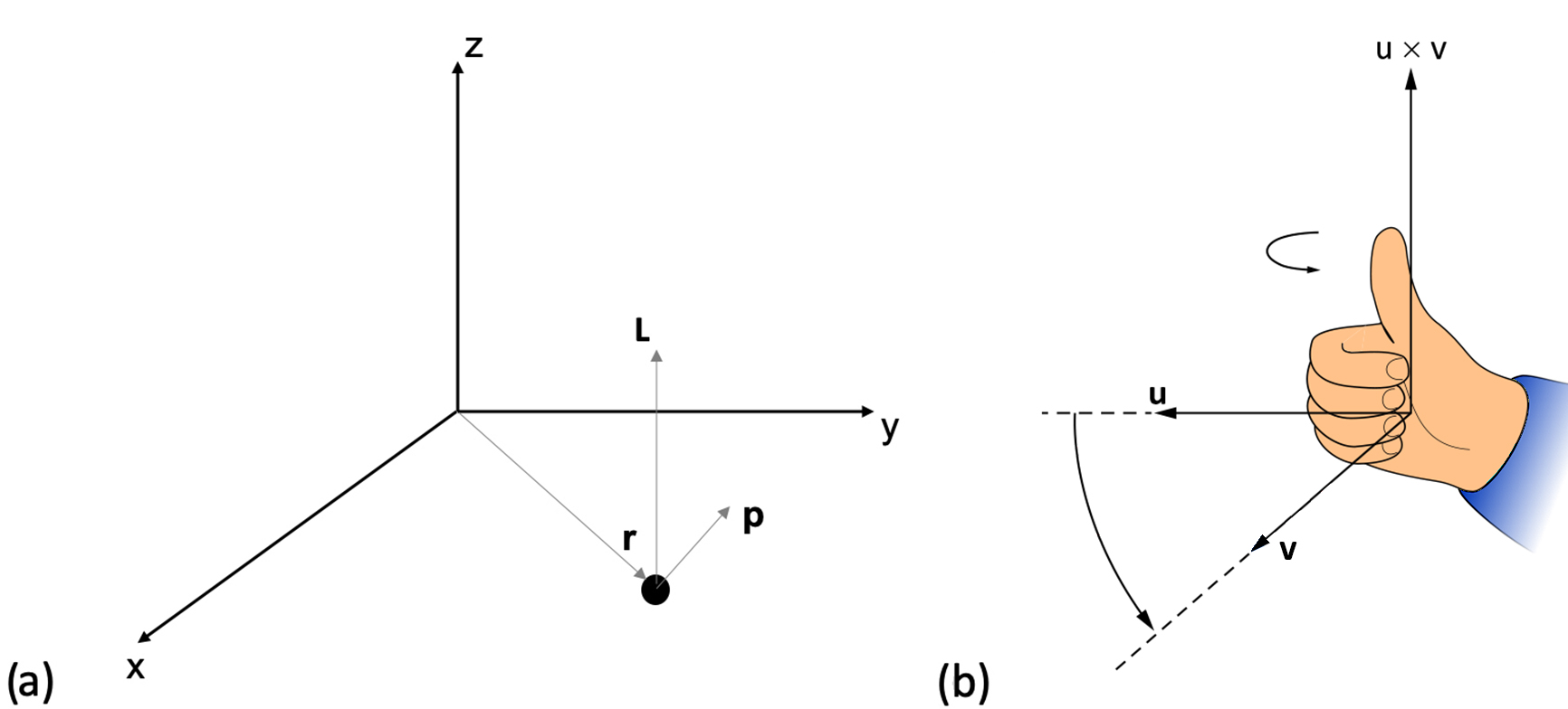 Image at left consisting of 3 black lines depicting a particle moving in the x-y plane with position vector r, and linear momentum p, which has angular momentum parallel to the z-axis. Image at right of a closed hand with the tumb up, demostrating the approximation of the right-hand rule.