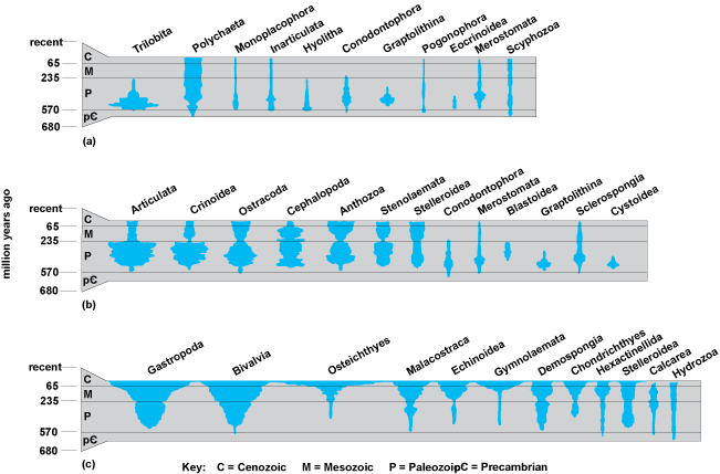 Chart of the marine fossil record of major animal groups during the last 680 million years