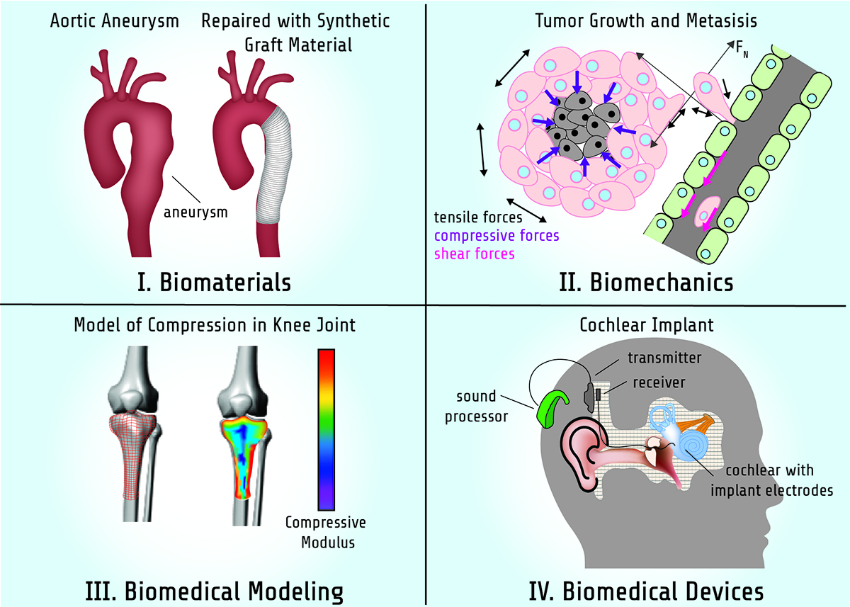 windowpane-style, four-panel depiction of elements of biomedical engineering