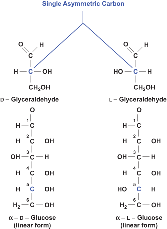 Structures of the D and L configurations of glyceraldehyde and glucose