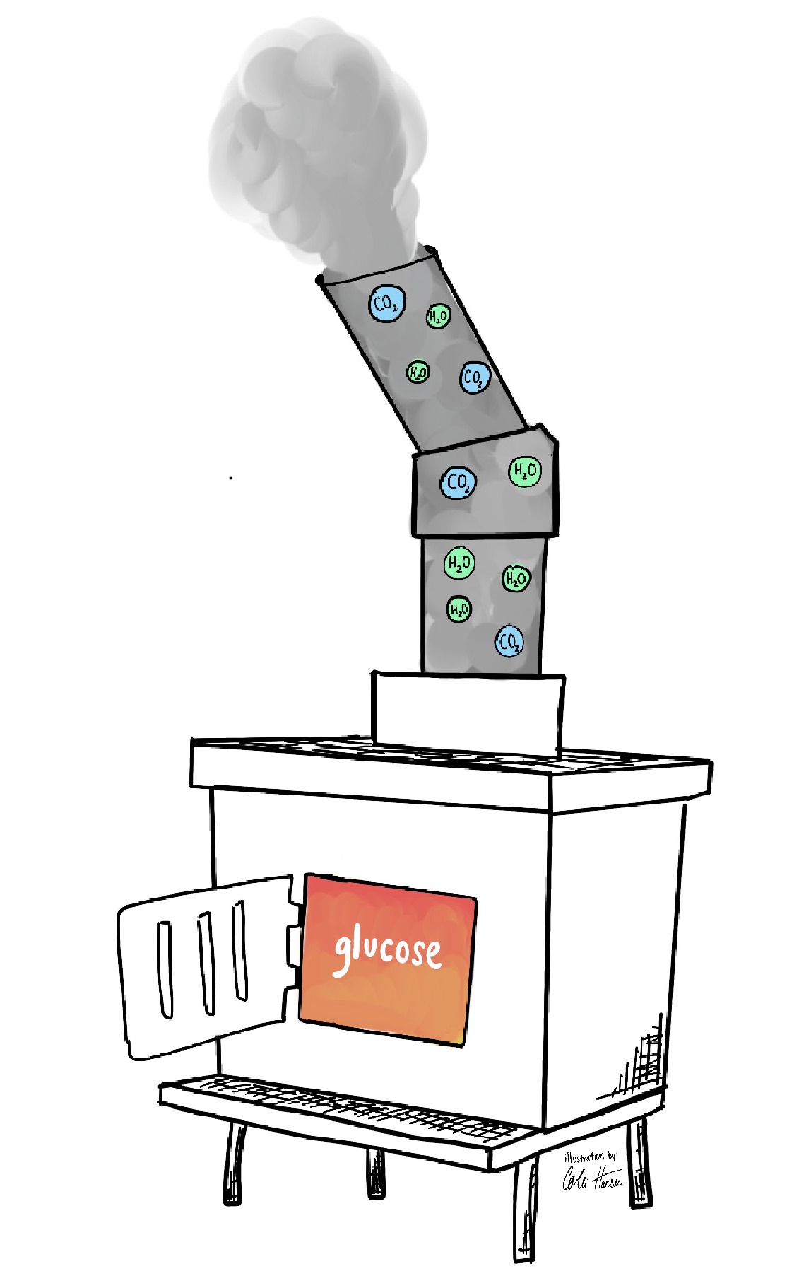 Illustration of a stove, with glucose inside and carbon dioxide, water, and smoke coming out of an exhaust pipe