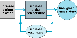 This is a diagram showing how water vapor and carbon dioxide affect the Earth's temperature
