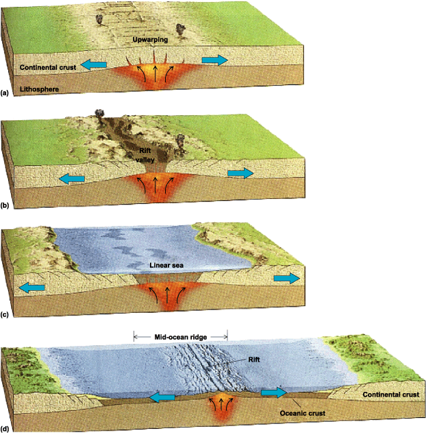 seafloor spreading mechanism 