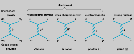 Basic interactions mediated by gauge bosons, shown in Feynman diagrams.