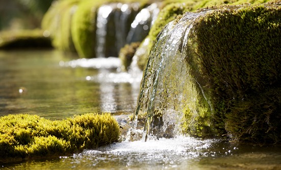 Color photo of clear water flowing over a green moss-covered rock