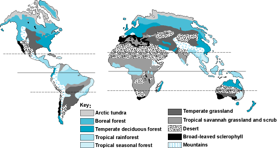 Map of the world showing the major vegetation types, with an associated key