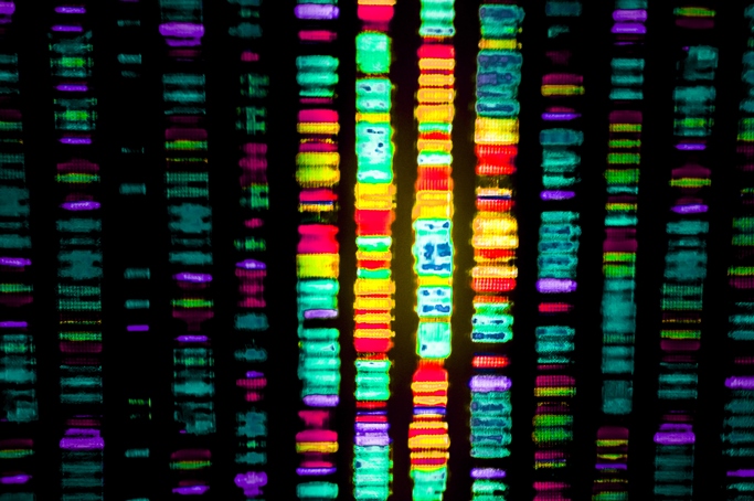 Full frame, close-up view of a colorful DNA sequence