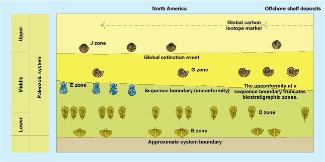 Color biostratigraphic diagram showing types of fossils at various stratigraphic levels in the Paleozoic era
