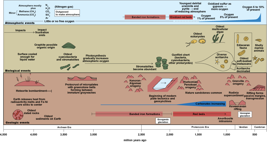 Color diagram showing the major evolutionary events in relation to physical events on Earth; the timeline goes back 4.5 billion years
