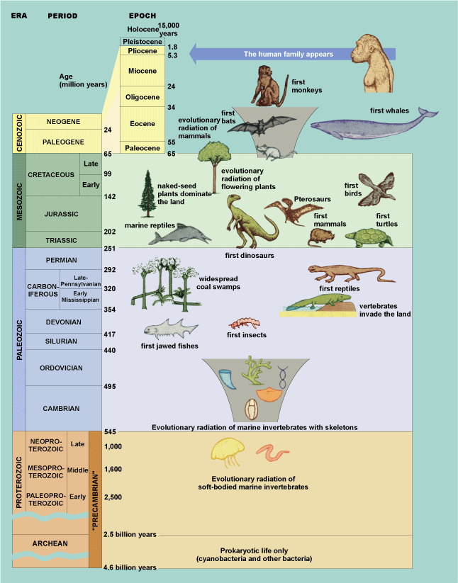 Color diagram showing the timescale of the major evolutionary events of marine and terrestrial life