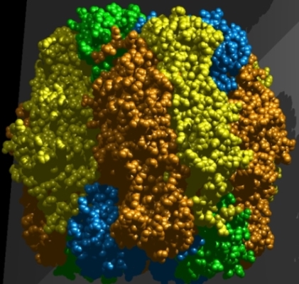 Colorized structural model of Rubisco