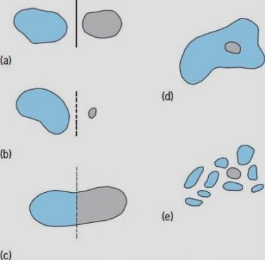 Illustration of 5 modes of splitting