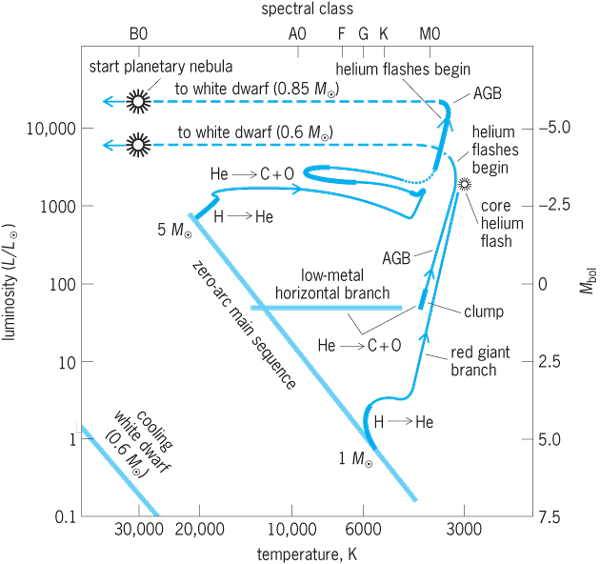 Hertzsprung-Russell diagram of evolution of intermediate-mass stars