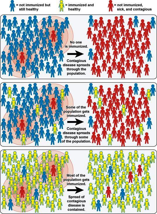 Three diagrams of stick figures showing how vaccination protects populations through community immunity