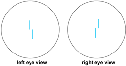 Diagram of vernier and stereoscopic discriminations of space; (left) left eye view; (right) right eye view