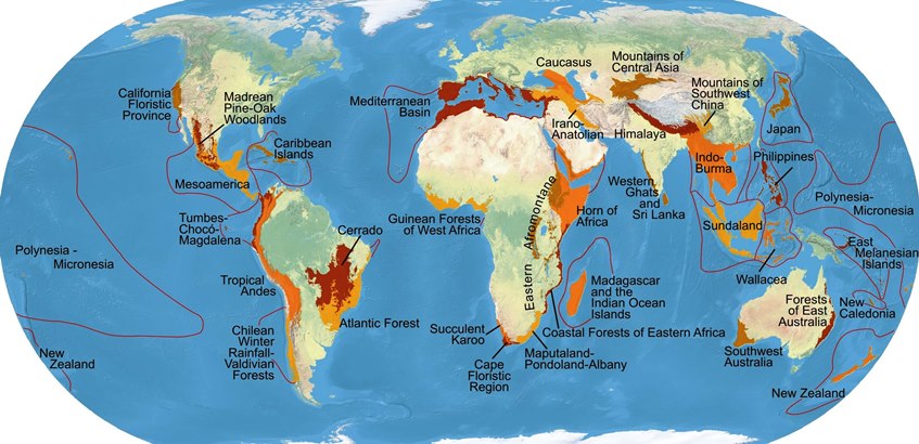 Map of the world showing the continents and various biodiversity hotspots