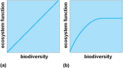 Two bar graphs of ecosystem function versus biodiversity: the left graph is a straight diagonal line; the right graph curves and levels off