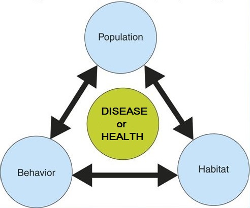 Triangular illustration of arrows connecting 3 circles ("population", "behavior", and "habitat") surrounding a circle of "disease or health"