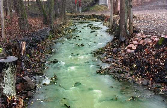 A small green polluted river in an urban park-like environment