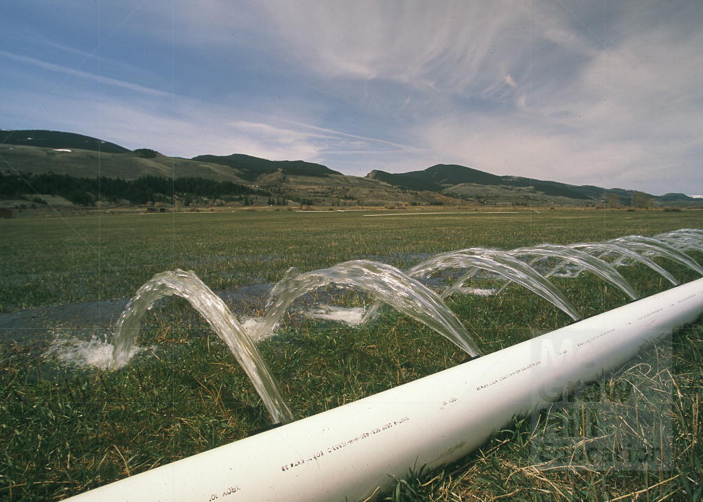 This is a photo of an irrigation pipe in a field