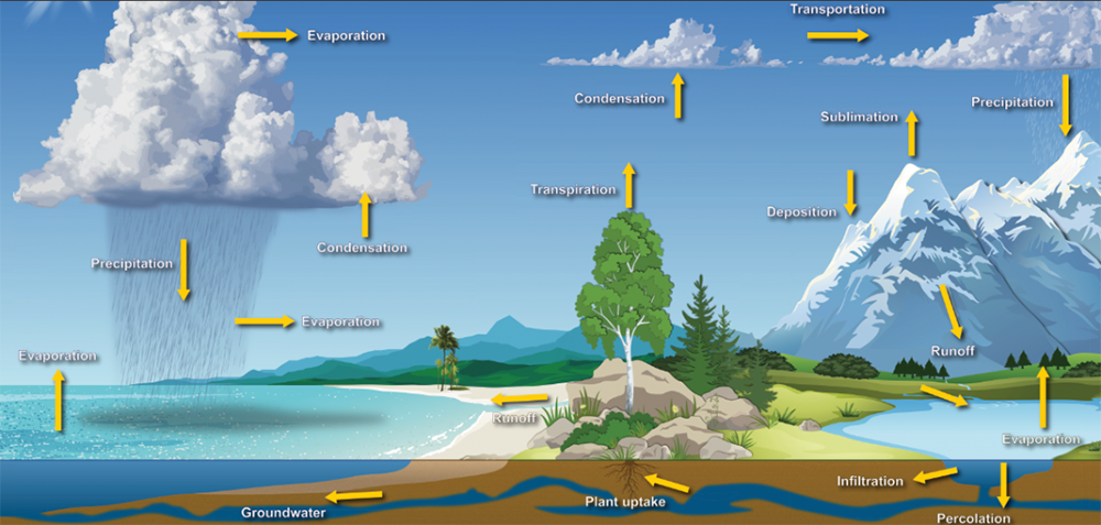 illustration of the water cycle